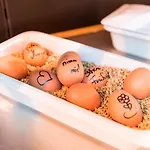 مك | مدينة